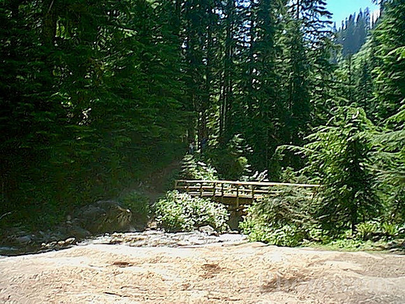 Image05