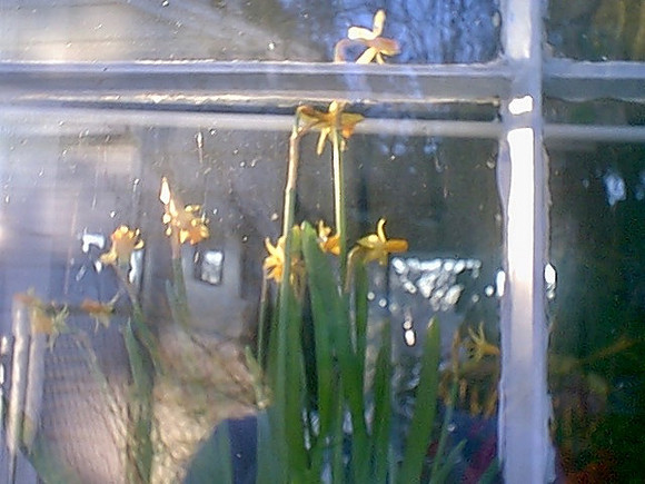 IMAGE02