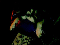 IMAGE10 (1)