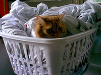 Image08