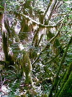 Image07