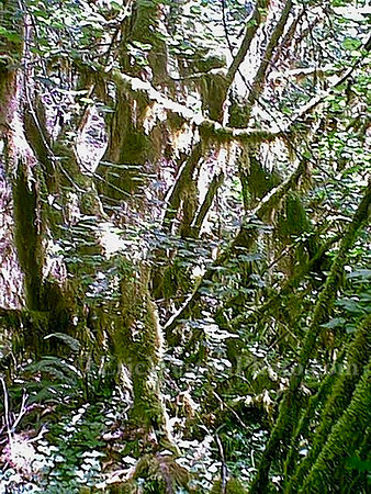 Image07