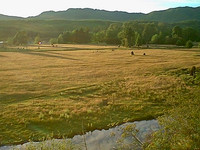 Image09