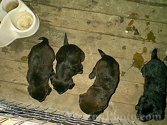IMAGE03