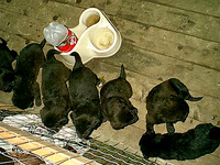 IMAGE04
