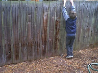 IMAGE02 (1)