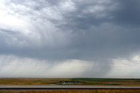 P9010192