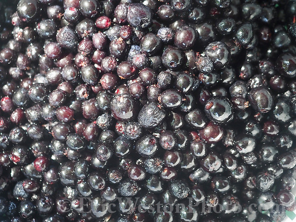 P9130214