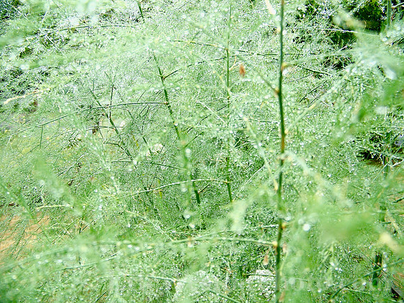 100_8332