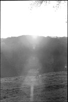 00362h01