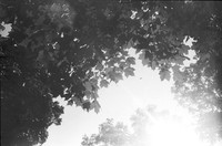 0022901