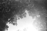 0022902