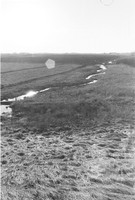 0022904