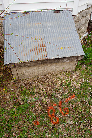 P4010031