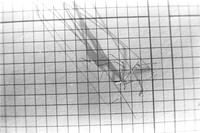 00237a10