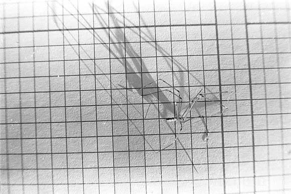 00237a10