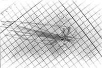 00237a13