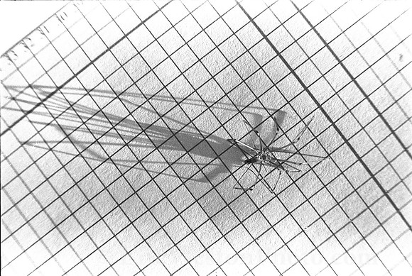 00237a13