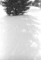 00239a01