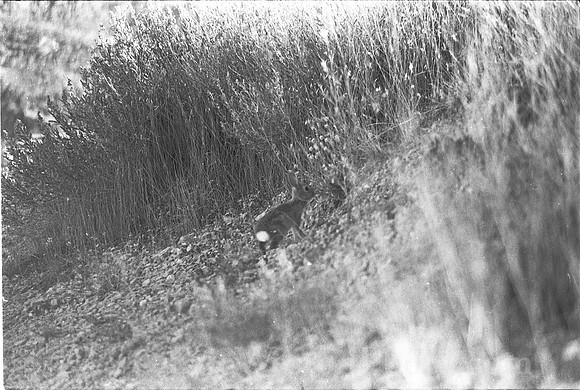 00240a20
