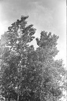 00242a43