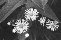 00243a05