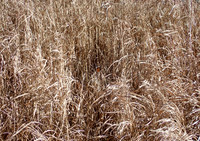 PB020019