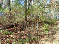 PB040064