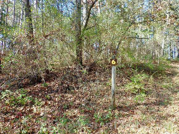 PB040064