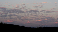 P8020002