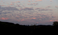 P8020001
