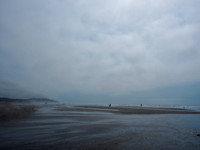 P8030027