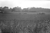 00263d36