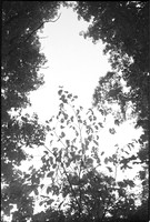 00363c05