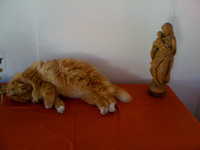 img_1023_4905613256_o