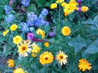 img_1011_4905022745_o