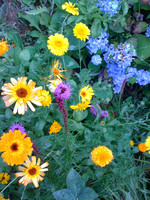 img_1010_4905611856_o