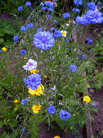 pict0010_4860357539_o
