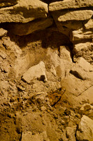 P4010029