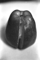 00273b19