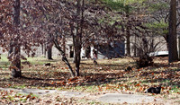 PC070003