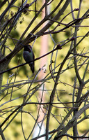 2014 / 02 February