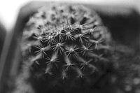 00284a31