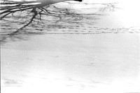 0028522
