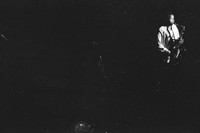 0028604