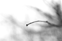 0028713