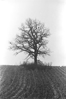 0028734