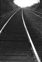 00294d04
