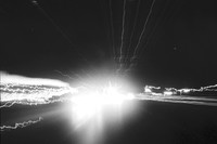 0029503