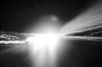 0029504